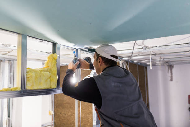 Best Energy Efficiency Insulation in Savage, MD