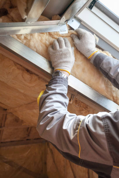 Best Commercial Insulation in Savage, MD