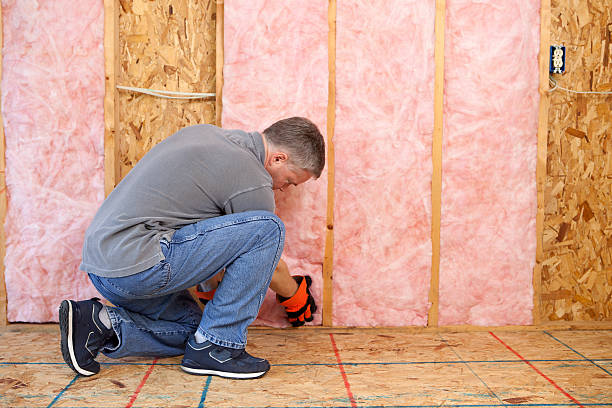 Best Specialized Insulation Services in Savage, MD