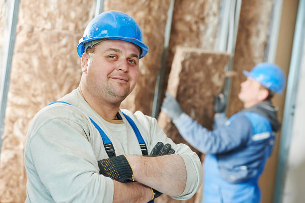 Best Eco-Friendly Insulation in Savage, MD